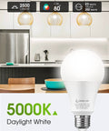 Ultra Bright A21 LED Light Bulb 23W Equivalent 150 To 200W 2500 Lumen 5000K Daylight E26 Non Dim No Flicker Energy Efficient