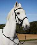 Soft Leather English Side Pull Bitless Bridle With Web Reins Included For Horses, Black, Fully Lined Noseband Neck And Brow Band