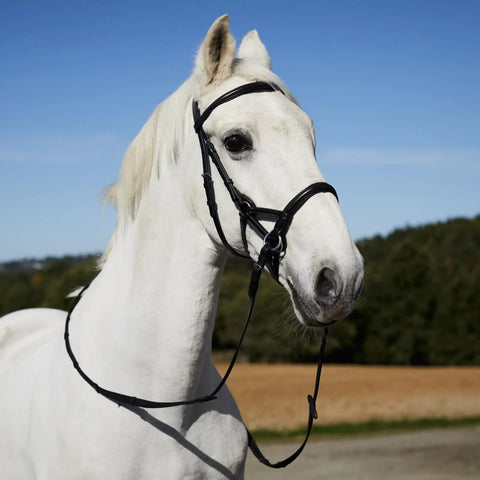 Soft Leather English Side Pull Bitless Bridle With Web Reins Included For Horses, Black, Fully Lined Noseband Neck And Brow Band