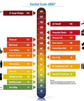 Decibel scale chart showing noise levels from 10 to 160 dB, including tools related to Disposable Foam Ear Plugs With Gripper Rings.