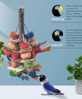 Hella Tough Parrot Chew Toys Crafted From Natural Wood Hemp Rope Corn Cob And Sweet Treat Nuts For Big Time Foraging Fun In Conure Cockatoo Parakeet Budgie Cage with colorful hanging toy surrounded by green parrot and blue bird.