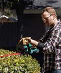 Man trimming hedge with 18V LXT Cordless Hedge Trimmer With 22-Inch Cut, Brushed Lithium-Ion Power, Tool Only, Renewed