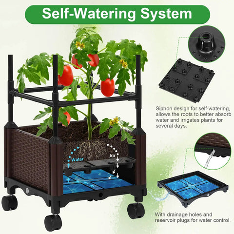 Self Watering Tomato Planter With Trellis For Patio showing self-watering system, roots absorbing water, and drainage features.