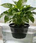 Weatherproof Hydroponic Net Pots Set For Seedlings And Water Plants Heavy Duty Reusable Garden Cups For Backyard Balcony