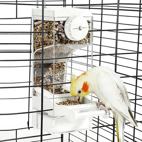 No Sweat Semi Enclosed Automatic Bird Feeder With Generous Fifty Ml Seed Stash For Parrots Canaries And Cockatiels, mounted and filled with seeds.
