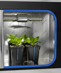 Two Buckets DWC Hydroponics Grow System With Top Drip Kit For 7 Gallon Deep Water Culture Includes Air Pump Air Stone And Hose