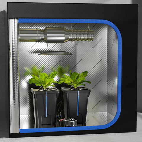 Two Buckets DWC Hydroponics Grow System With Top Drip Kit For 7 Gallon Deep Water Culture Includes Air Pump Air Stone And Hose