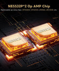Close-up of NE5532P Op Amp chips used in TPA3255 Class D Stereo Amplifier 300W Per Channel X2 HiFi Beefy Power Amp for desktop speakers.
