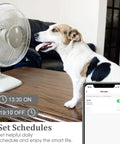 Dog sitting near fan controlled by dual socket smart plugs with Alexa Google Home and Siri for no fuss energy monitoring, app display