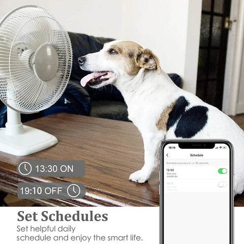 Dog sitting near fan controlled by dual socket smart plugs with Alexa Google Home and Siri for no fuss energy monitoring, app display
