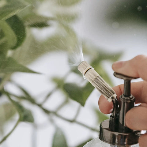 Hand using Outdoor Misting Nozzles Set, Stainless Steel High-Pressure Fogger Heads, Anti Drip and Cleanable Design, spraying water.
