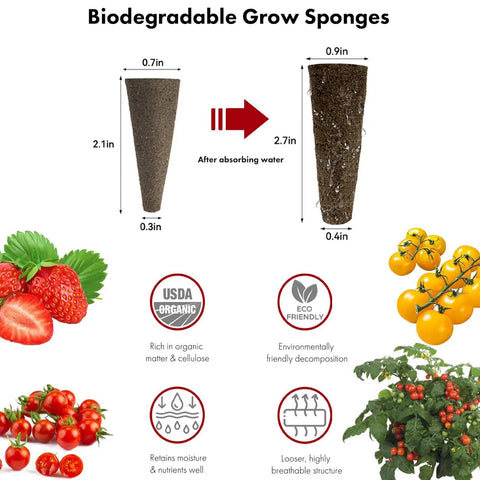 Biodegradable grow sponges for Hydroponic Seed Kit For Strawberry And Tomato Growing Systems with 350 germinating seeds.