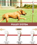 Heavy Duty 200 Ft Dog Runner With 10 Ft Tie Out Cable For Big Dogs Up To 250 Lbs Safe Zip Line For Backyard Park And Camping Use Red Vinyl Coated Stainless Steel with dog running on zip line.