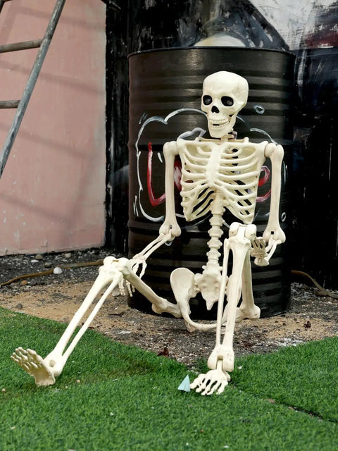 5 Ft Pose-N-Stay Life Size Skeleton With Realistic Movable Joints And Locking Knees, Durable All Weather Plastic, seated outdoors