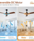 Diagram of 52 Inch Indoor Outdoor Ceiling Fan with Light Remote Control showing summer cooling and winter warming functions.