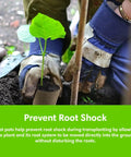 Gardener planting with All In One Seedling Starter Kit With Biodegradable Peat Pots Coco Coir Soil Discs And Plant Markers