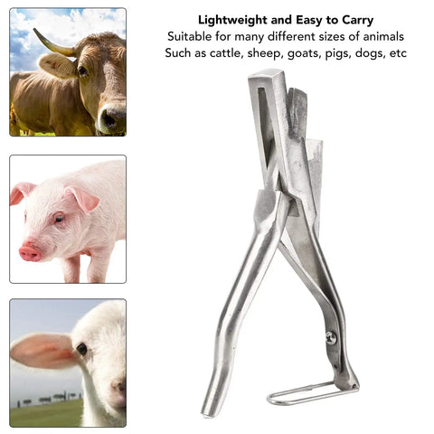 Stainless Steel Ear Tag Plier for Livestock Identification With V Shape Notcher Ergonomic Vet Tool for Cattle Sheep and Goats Durable Pig Ear Tag Pliers for Quick Clean Notches shown beside livestock images