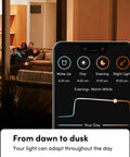 WiFi Color Changing A19 Smart LED Bulb Pack Dope Bright 800 Lumens, No Hub Needed, app interface with lighting schedule, 4 pack