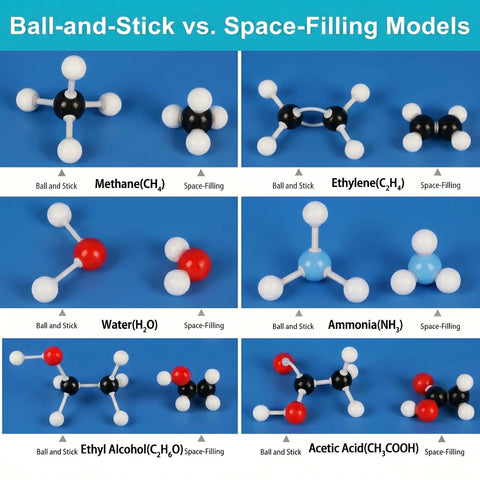 Hands On 240 Piece Molecular Model Kit for 3D Chemistry Visualization comparing ball-and-stick and space-filling models