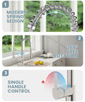 Modern spring design of All In One Kitchen Faucet With Soap Dispenser And Pull Down Sprayer Dual Function Spray Head With Deck Plate Nickel Brushed Finish