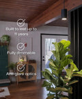 Decor Grow Light With Sunset Spectrum Warm White LEDs for small and medium plants in a modern home interior.