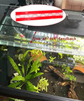 Transparent Acrylic Piano Hinge 300mm Long Self Adhesive 3mm Thick For DIY Boxes aquariums with use effect feedback display.