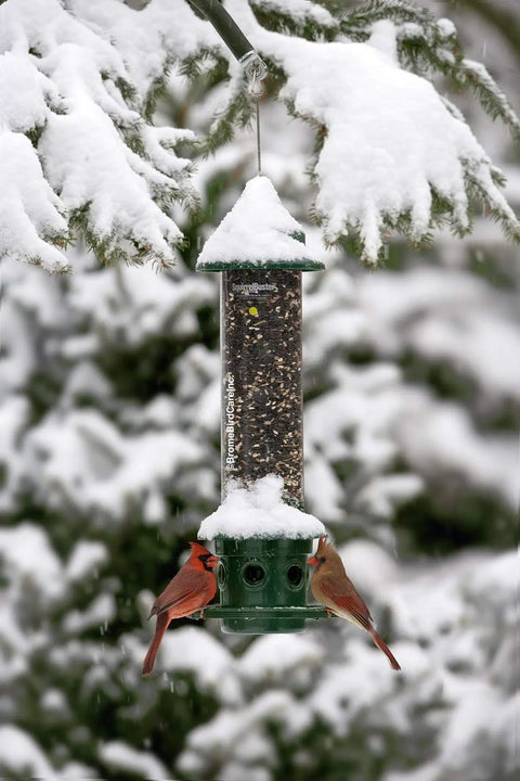 Ultra Squirrel-Proof Bird Feeder With Cardinal Ring And Six Feeding Ports hanging in snow-covered yard