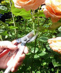 Bypass Pruners 103 General Purpose Medium With Non Slip Vinyl Handle, Japanese Made Steel Blades cutting a flower stem