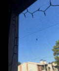 See Through Mosquito Netting For Patio And Porch 60x120 Inches Black DIY Insect Barrier Mesh outdoor view with blue sky background
