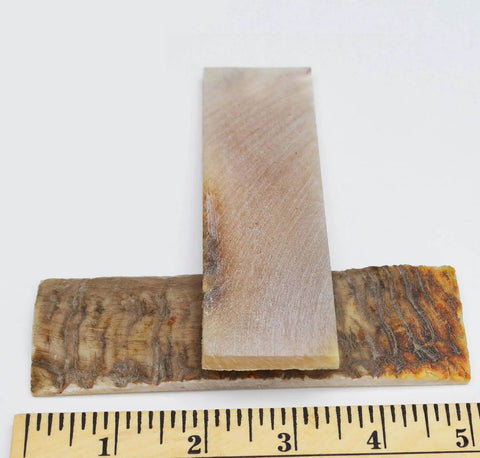 Natural Ram Horn Knife Scales 2 Piece Set, 5 Inch Long By 1.5 Inch Wide, Pre Polished Handle Material, ruler for scale reference