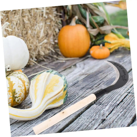 Long Handle Hand Scythe For Weed Removal And Grass Control Manganese Steel Weeding Tool With Ergonomic One Handed Grip resting on wooden surface next to pumpkins.