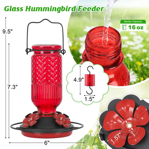 Glass Hummingbird Feeder With Ant Moat And Bee Proof Ports 16 oz outdoor hanging bird feeder, red, with 360 degree perch