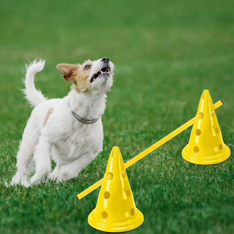 Dog playing with Dog Agility Hurdle Cone Set For Backyard Training Height Adjustable Obstacle Course Kit in yellow