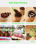 Kid Friendly Plant Growing Kit Greenhouse Set For Diy Terrarium Science showing plant growth stages and solar greenhouse.