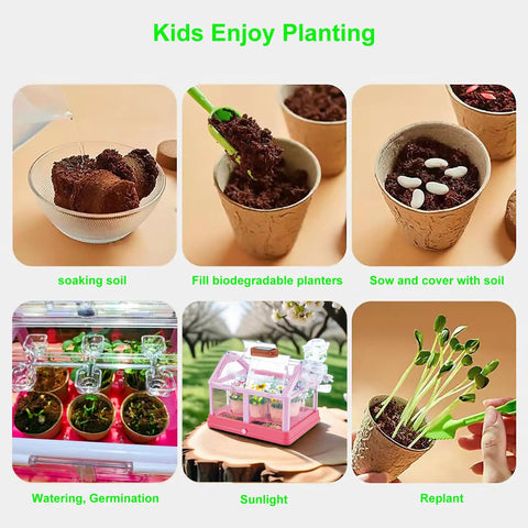 Kid Friendly Plant Growing Kit Greenhouse Set For Diy Terrarium Science showing plant growth stages and solar greenhouse.