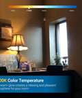Three Way LED A19 Light Bulbs With 40 60 100W Equivalents, E26 Base, 2700K Warm White lighting a cozy room.