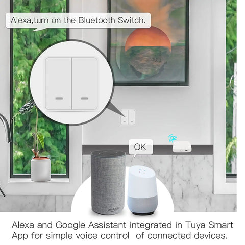 Bluetooth Mesh Gateway For Smart Locks And Tuya Devices, Remote App And Voice Control, WiFi And Bluetooth Hub beside smart speakers