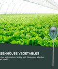 Soil Moisture Meter And pH Tester For Garden Lawn And Indoor Outdoor Plants Pro Humidity Monitor in a greenhouse with lettuce