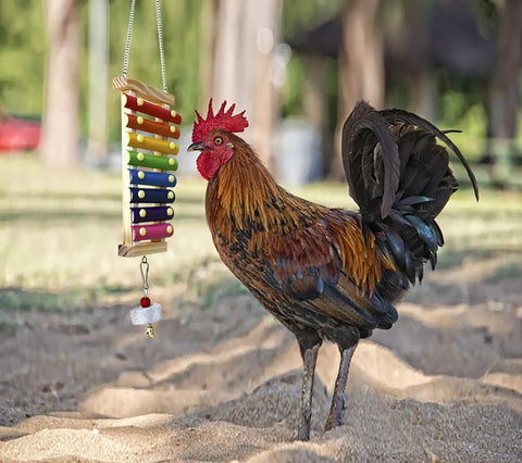 Chicken Xylophone Toy For Hens Hangable Wood Xylophone With Eight Metal Keys and grinding stone for coop fun and enrichment