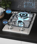 Two Burner Portable Gas Stove On The Go With Stainless Steel Build For RVs Apartments And Outdoor Kitchens 12 Inch Cooktop