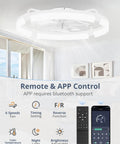 Straight Up Silent 24 Inch Low Profile Fandelier With App And Wireless Remote showing app controls and features in a stylish room.