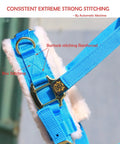 Close-up of Lunge Cavesson With Fleece Lined Nose Band And Crown, Bartack stitching and box stitching details visible.