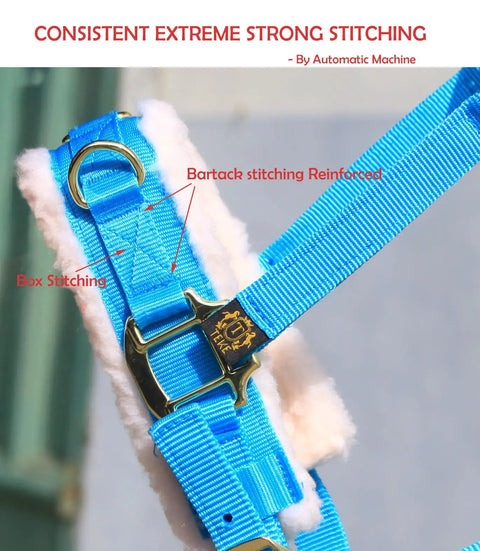 Close-up of Lunge Cavesson With Fleece Lined Nose Band And Crown, Bartack stitching and box stitching details visible.
