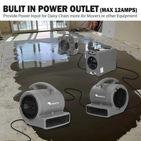 1/4 HP Air Mover With 1000 CFM Two Speed Carpet Dryer And Floor Fan in use drying a wet floor, durable rotomold housing