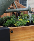 Teak Wood Raised Garden Bed Planter Box With Galvanized Steel Legs And Mesh Liner For Outdoor Gardening On Patio Balcony Deck Or Porch Built To Last With Water Repellent And Rot Resistant Teak And A 5 Year Warranty being watered