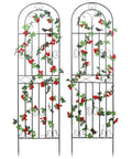 Sturdy 2 Pack Garden Trellis Set, 70.8 Inch Tall Metal Plant Support With Black Powder Coat, No Fuss Assembly Wire Lattice Panels