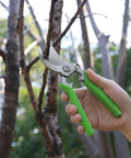 Hand holding 8.5 Inch Bypass Pruning Shears With Forged Stainless Steel Blades, Three Quarter Inch Cutting Capacity in use on branch.