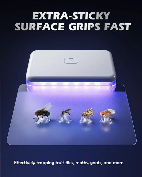 No Nonsense Plug In Fruit Fly Trap For Indoor Spaces Featuring Dual Wavelength Bulbs Paired With Eleven Sticky Refill Pads showing trapped bugs.