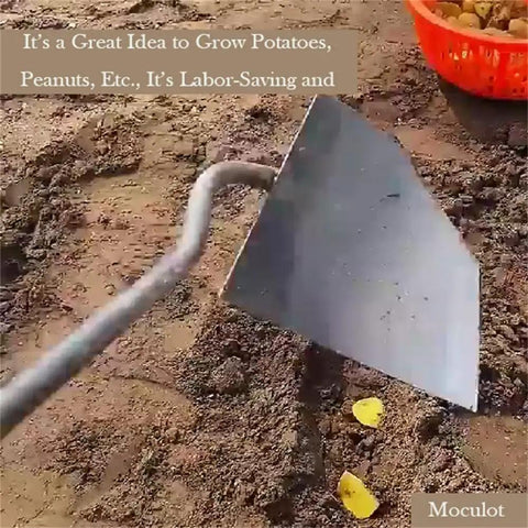 Workhorse Triangle Hoe Garden Tool With Hardened Steel Plow Head For Digging Weeding Planting Ridging And Soil Leveling Built For Manuring And Landscaping Bronze shown in soil.