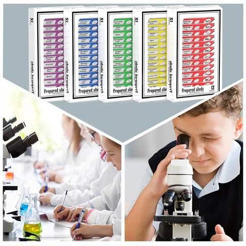 Ultimate 60 Piece Plastic Prepared Microscope Slides Set With Insects Plants Animals Flowers And Other Specimens In Five Boxes Safe No Sharp Edges Durable For Classroom And Home Science Kid Friendly, 5 color-coded boxes